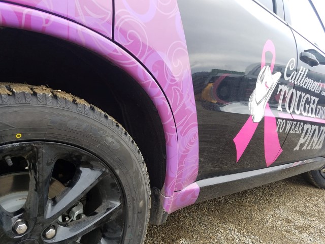 Bucky with new tires